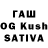 Конопля Ganja Alica Letitskaya