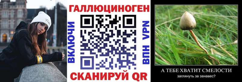Галлюциногенные грибы Psilocybe Сухиничи